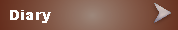 diary
