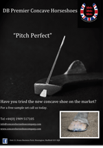 DB Premier Concave Horseshoes