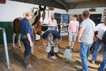 Farrier Competition 1